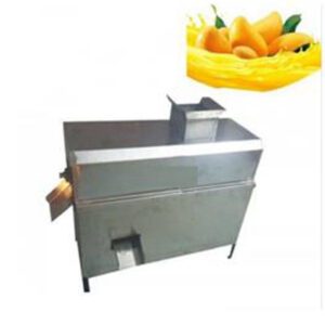 200Kg Mango Juicer Machine